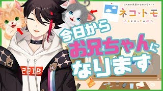 【ネコトモ】ネコたちの「お兄ちゃん」になれるゲーム【三枝明那 / にじさんじ】