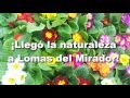 Vivero Don Cactus Lomas del Mirador La Matanza Zona oeste Buenos Aires