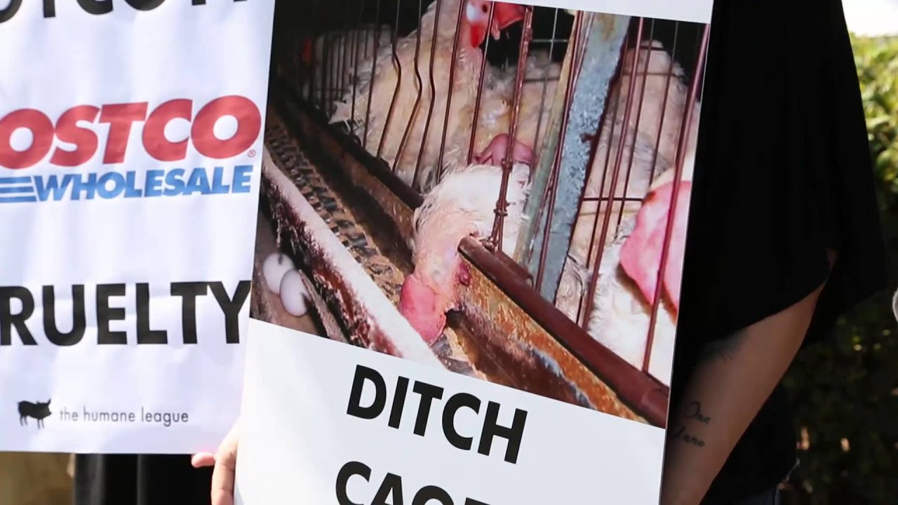 100,000+ Petition Signatures Delivered to Costco Headquarters YouTube