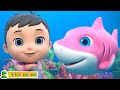 Baby shark  best dance song for kids  more nursery rhymes  baby songs