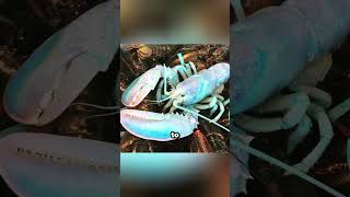 Photos of one in a million coinsidences #facts #factsyoudontknow #youtubeshorts #viral #usa #viral