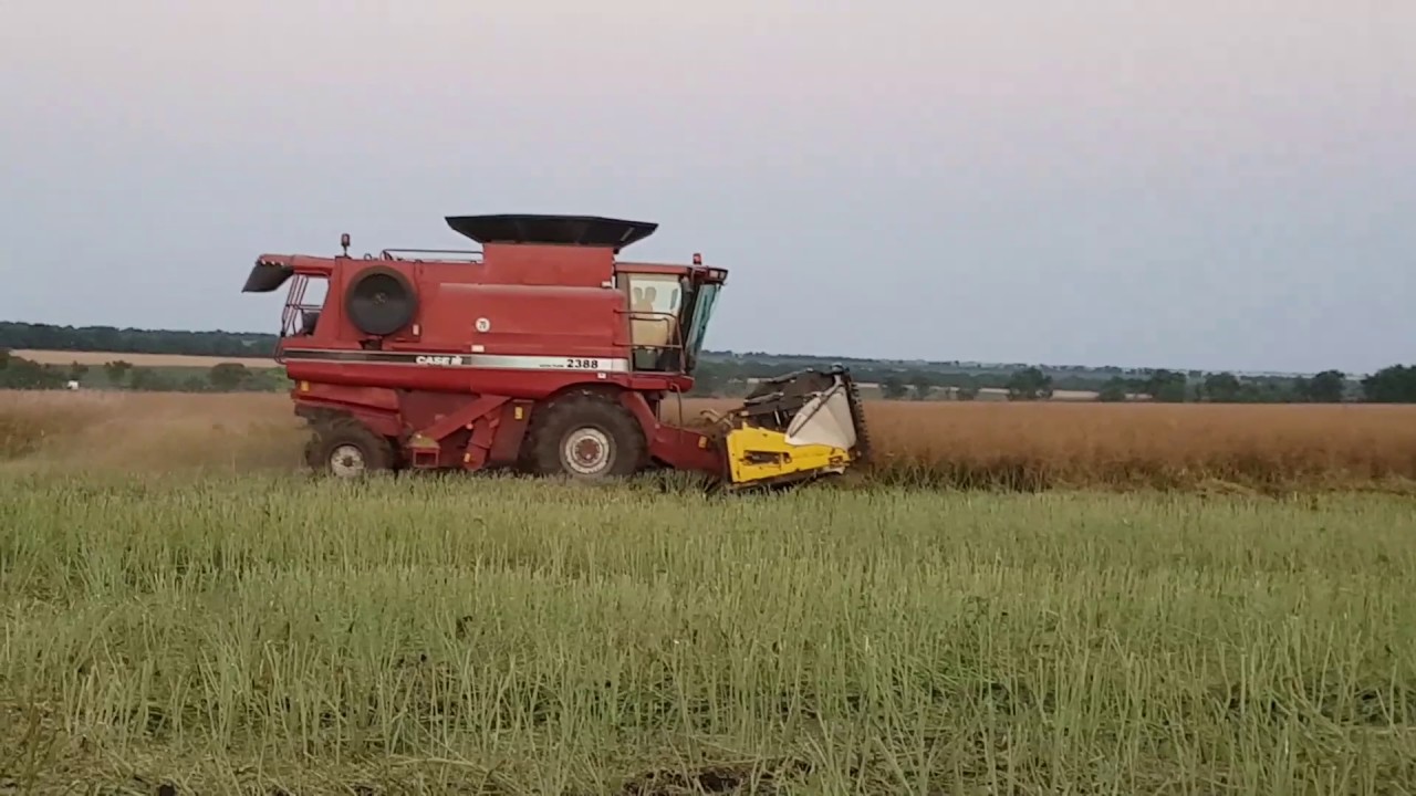 Нива уборка видео