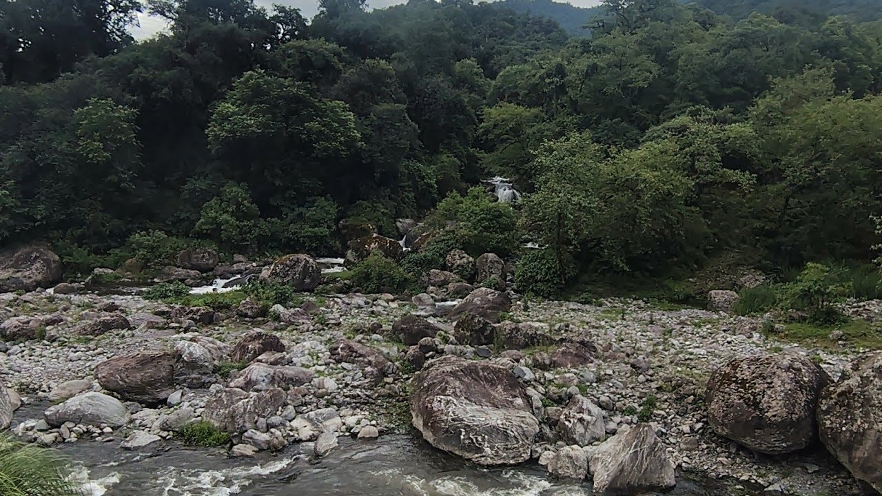 Por las Yungas Tucumanas (de El Mollar a La Banderita)