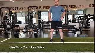 Shuffle x 2-1 Leg Stick