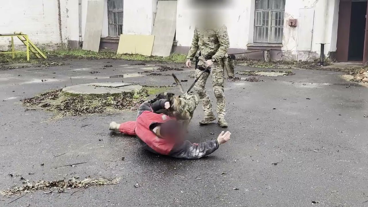 SZKOLENIE POLICYJNYCH CZWORONOGÓW - POSŁUSZEŃSTWO I OBRONA PRZEWODNIKA