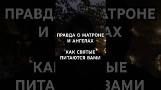 ПРАВДА О МАТРОНЕ И АНГЕЛАХ! КАК СВЯТЫЕ ПИТАЮТСЯ ВАМИ! #матрона #магия #христианство