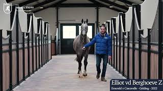 Elliot vd Berghoeve Z