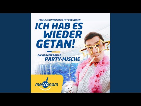 Ich hab es wieder getan (Remix)