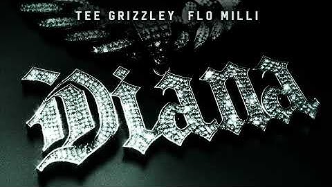 Tee Grizzley - Diana (feat. Flo Milli) [Official Visualizer]