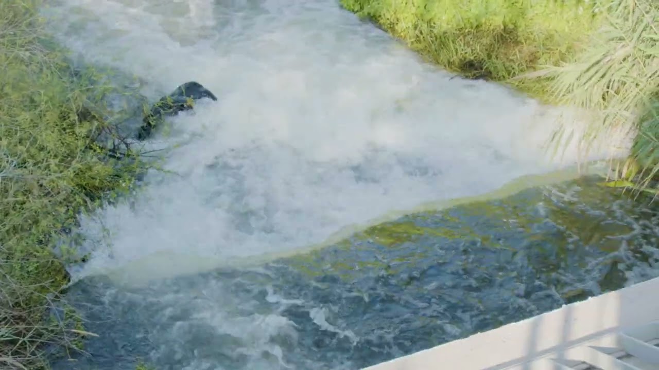 La regeneració de l'aigua (English subtitles)