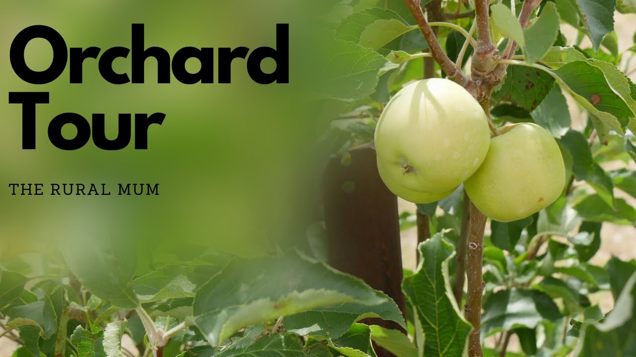 Orchard Update VLOG 2023 - YouTube