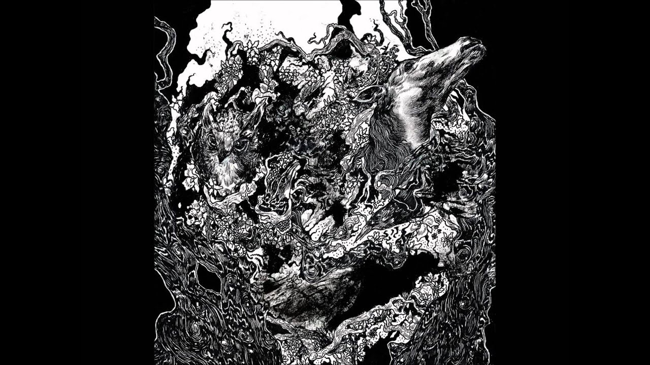 Wildernessking - Discovery