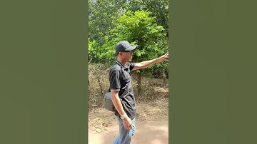 đất 1100m2 có thổ cư ngay KCN ở TP.HCM chỉ 950tr .lh 0937971626 #bdsbinhduonggiare #nhadatsaigon