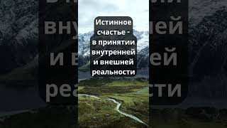 Истинное счастье - в принятии внутренней и внешней реальности. Оле Нидал #shorts