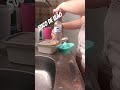 Suco de Leão