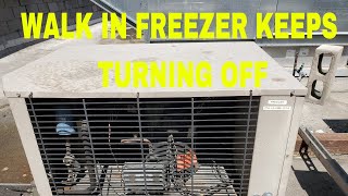 WALK IN FREEZER KEEPS TURNING OFF