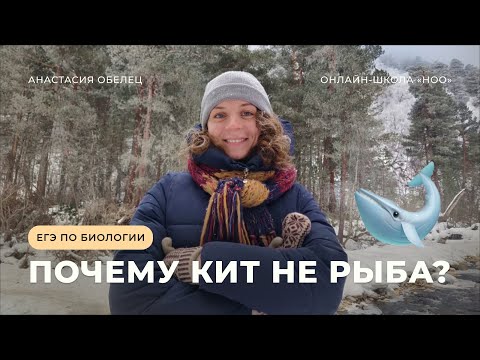 почему кит не рыба, а млекопитающее? | ЕГЭ по биологии 2023