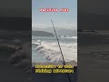 Pacifica Pier #fish #shorts #shortvideo #subscribers #subscribe #viral #pacificapier