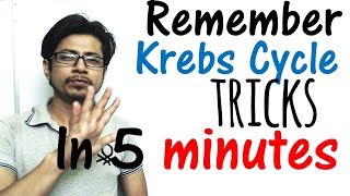 Krebs cycle trick made easy | Remember Krebs cycle in 5 minutes