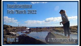 Fuerteventura Feb/March  Part 2 - Bonito from the beach on feathers!