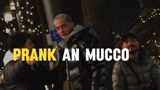 Prank An Mucco Mannheim
