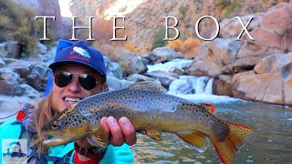 FLY FISHING NEW MEXICO | DIY BOX CANYON | THE MOST BEAUTIFUL FISH | TROUT IN A DESERT