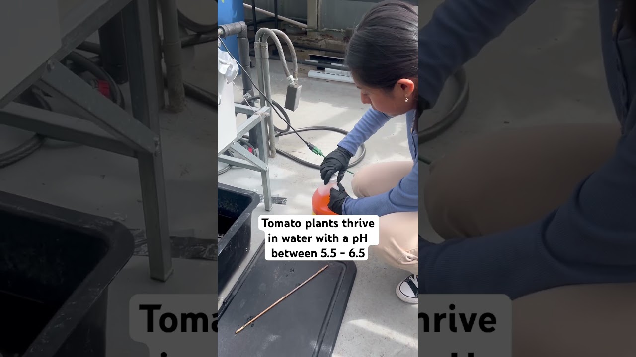 Adjusting pH levels in the garden. Indoor farm 