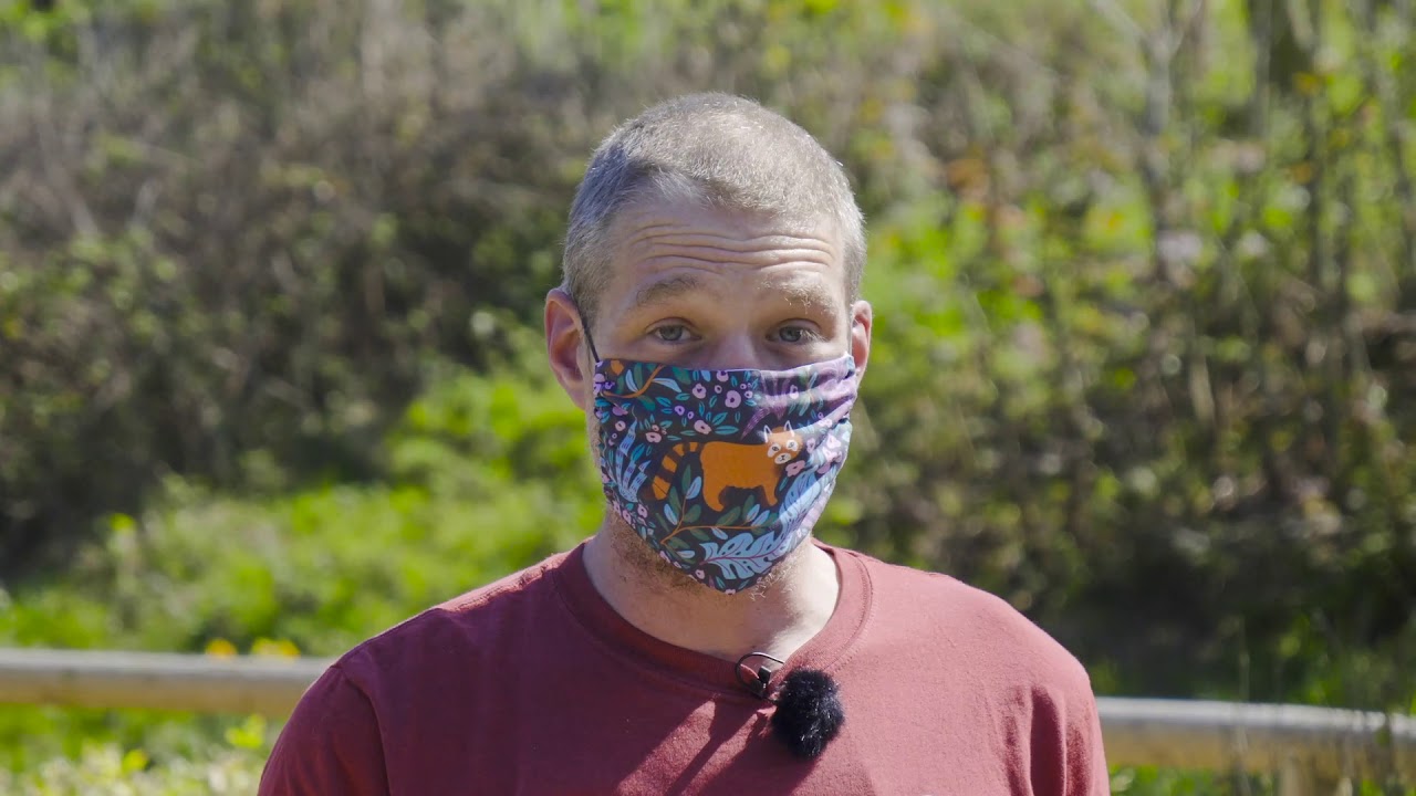 Jersey Zoo Orangutans
