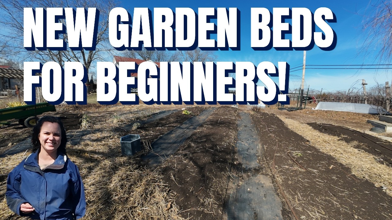 Show-Me How To Start A No Till Garden From Scratch, Beginner Friendly