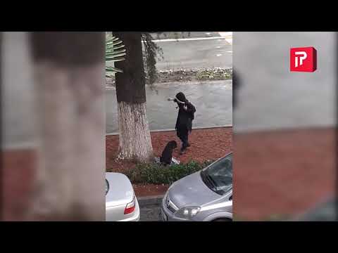 გოგონამ საკუთარი მაისური ძაღლს ჩააცვა