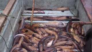 Los Molles, caleta de pescadores.