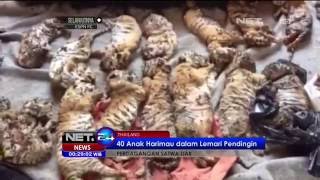 40 Anak Harimau Mati Ditemukan di Lemari Pendingin - NET24