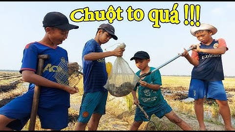 Bắt Chuột Mà Gặp Cảnh Này Là Không Muốn Về,Đào Hang Nào Cũng Có Quá Đã !!! |Catch the mouse