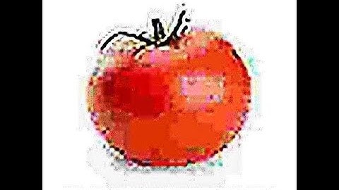 Tutorial How to Fly by Xewoiy showcase 🗣🗣🗣🗣🗣🗣🗣🗣🗣🗣🗣🗣🗣🗣🗣