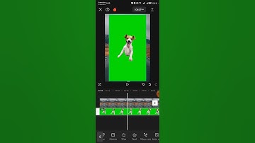 How to remove green screen in Capcut.Capcut chroma key tutorial 2024#shorts #youtubeshorts #capcut