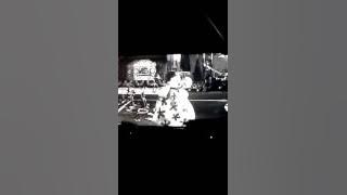 Frankenweenie big turtle