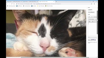 5. Open Labyrinth: Uploading an image and changing size