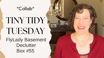 Tiny Tidy Tuesday Collab | Box #55 | FlyLady Babysteps Basement Declutter