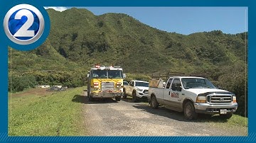 Man, 25, impaled by tree branch at Lulumahu Falls Trail