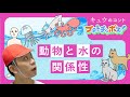『動物と水の関係性』プテトチッポス#3 キュウ コント