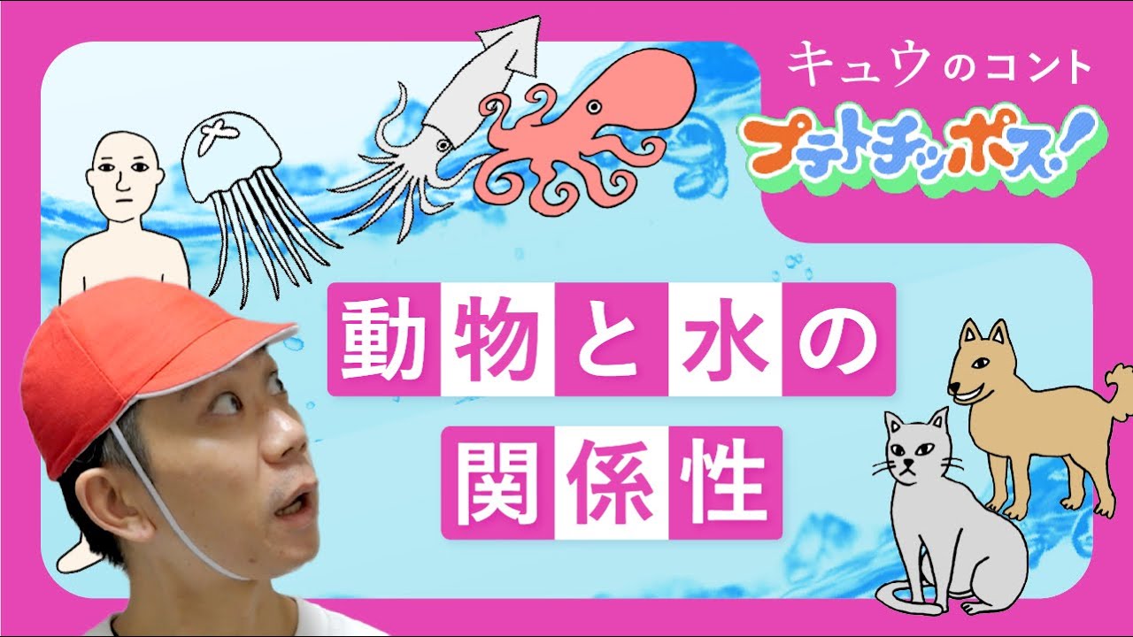 『動物と水の関係性』プテトチッポス#3 キュウ コント