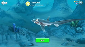 hungry shark world Thresher