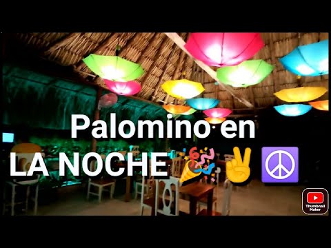 Palomino La Guajira Como es? Vida Nocturna Bares Turismo Tour pueblo Hipster hqdefault TopHistorias