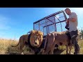 Meet The Characters: Suja and Bongani | The Lion Whisperer