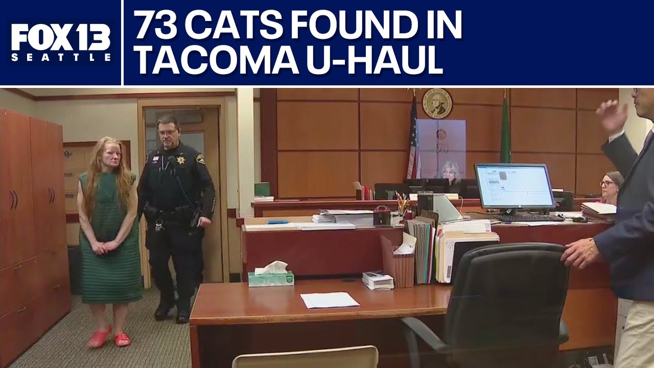 Tacoma, WA woman charged with animal cruelty after 73 cats found in U ...