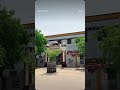 #my school#? #mystery #motivation #animation #ekmotahathighumechala