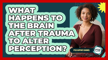 What Happens To The Brain After Trauma To Alter Perception? - PTSD Support Channel