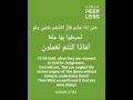Quran 27:84 PeerlessQuran.org What on earth were you doing neglecting Quran #quran #quranrecitation
