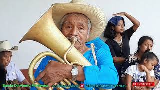 la cumbia del muerto banda de viento primavera