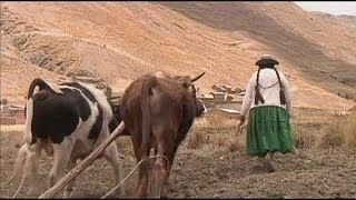 İklim değişikliği Bolivyalı çiftçilerin geleceğini tehdit ediyor - science